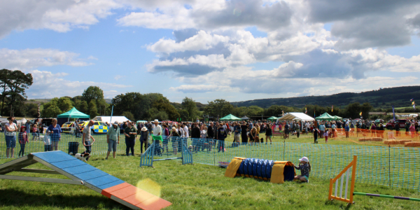 Country Dog Show